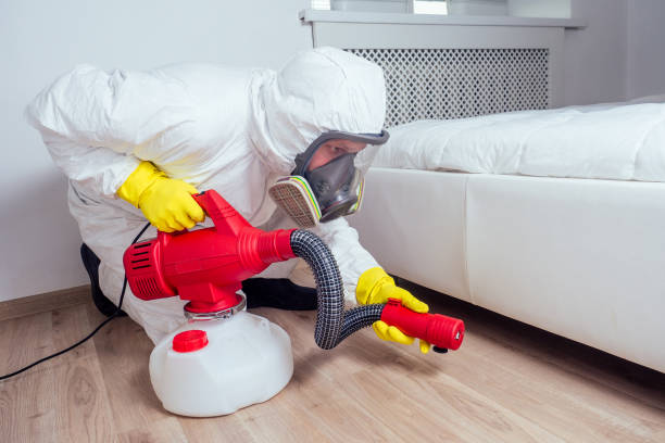 Pest Control for Hotels in Morton Grove, IL